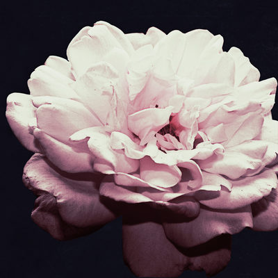 Image Not Available
